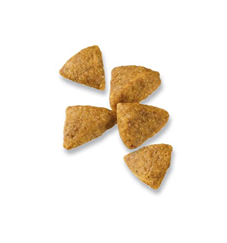 Purina Pro Plan FOCUS Adult Small Breed Formula Adult Dry Food - (1) 6 lb. Bag