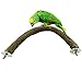 Legendog Bird Perch Natural U Shaped Wood Perch Bird Stand Bird Cage Perch Pet Chew Toythumb 4