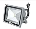 Trendmart Led Flood Light 10w Cool White Outdoor Lighting Garden Light Come with Us Standard 3 Pin Plug (Cool White, 10w with Us Plug)