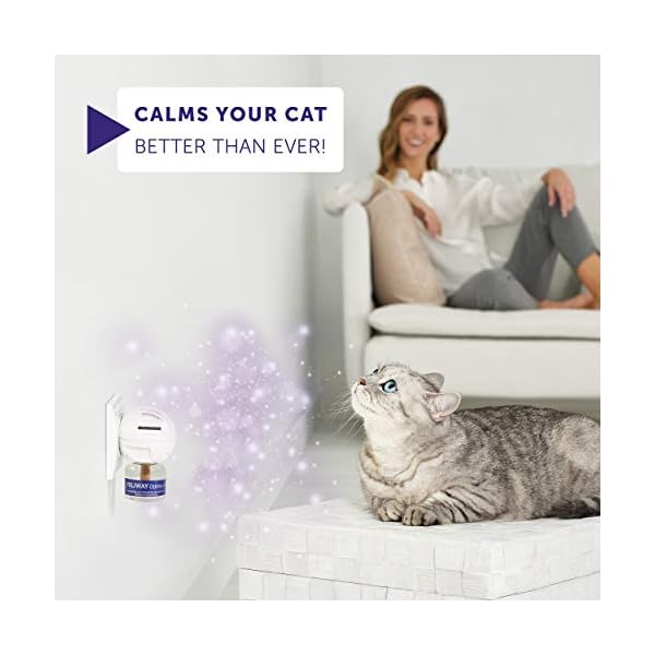 Feliway-Optimum-Diffuser-Starter-Kit-and-Refill-48ml FELIWAY Optimum diffuser & 30 day refill, the best solution to ease cat anxiety, cat conflict and stress in the home, 48…
