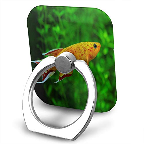 Phone Stand Aquarium Exotic Fish Ring Cell Phone Stand Adjustable 360Â° Rotation Phone Stand for IPad, Kindle, Phone X/6/6s/7/8/8 Plus/7, Divi, Accessories Desk, Android Smartphone