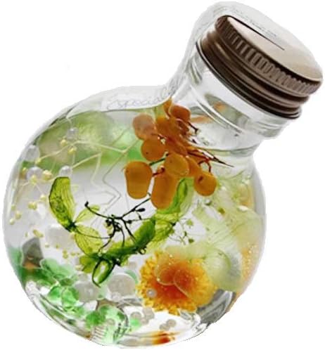 Amazon ハーバリウム コロン プリザーブドフラワー プレゼント フルーティオレンジ プリザーブドフラワー オンライン通販