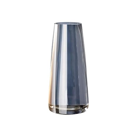 Fbgood Glass Vase Small Clear Glass Bottles Vase For Flowers