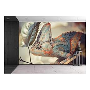 Yemen Chameleon - Removable Wall Mural | Self-Adhesive Large Wallpaper - 66x96 inches