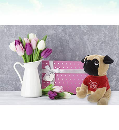 DolliBu Pug Dog with I Love You Message T-Shirt Stuffed Animal 10 Inch, for Boyfriend or Girlfriend, Cute Teddy Bear with Heart Plush Toy for Friend, Anniversary or Valentine Gift