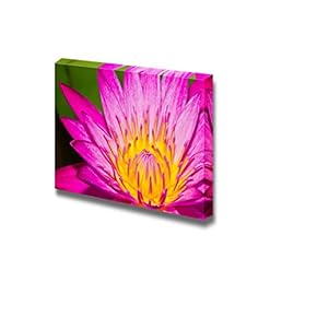 Canvas Prints Wall Art - Close Up of Pink Lotus Flower in a Pond | Modern Wall Decor/Home Decoration Stretched Gallery Canvas Wrap Giclee Print & Ready to Hang - 12" x 18"