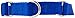Coastal Pet - No Slip - Martingale Adjustable Dog Collar, Blue, 3/4