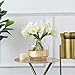 HoveBeaty Calla Lily Bridal Wedding Festival Decor Bouquet Real Touch Latex Flower Bouquet Pack of 20 (Yellow-White)