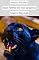 Livro Amazon Monsters: Black Panther