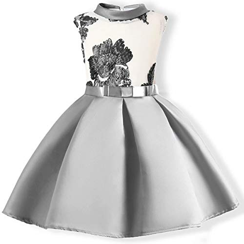 AYOMIS Flower Girl Pageant Dress Kids Party Embroidery Wedding Dresses 2-9 Years(Silver,5-6Y)