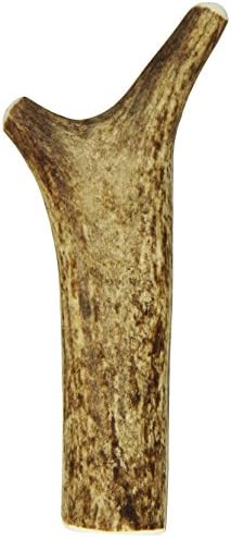 Newts Chews Antler, Small