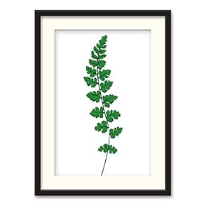 SIGNFORD Black Framed Canvas Wall Art Nordic Style...