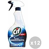 Come Rimuovere Muschio, Alghe E Licheni Dagli Esterni - Foto 7