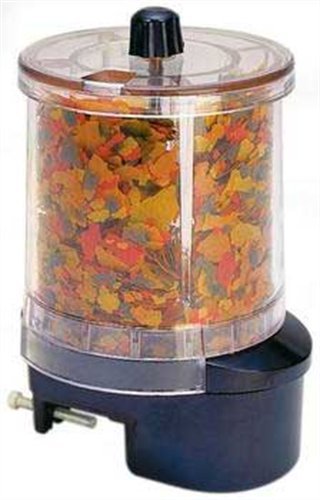Buy Lifegard Automatic Fish Feeder Online At Low Prices In India