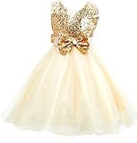 Shiny Toddler Sequins Laryered Flower Girl Birthday Party Tutu Dress