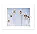 Venice Beach Palm Tree Wall Art, Tropical California Coastal Wall Decor Picture - 5x7, 8x10 Print (not framed), ‘Venice Palms’