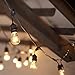 String Light Company Vintage 48-Ft Outdoor Commercial String Lights with 15 Suspended Sockets and 15 Clear S14 Bulbs, 16 Gauge Black Cord