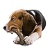 Nylabone Power Chew Antler Alternative Nylon Chew Toy for Dogs, Dog Toys for Aggressive Chewers, Venison Flavor, Medium/Wolf (1 Count)