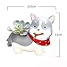 Planti Goodies Cute Animal Shaped Pot Adorable Dog Planter Cartoon Succulent Flower Pot Home Decoration Pot with Drainage (Husky Dog, Style C)