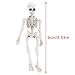 Kalttoyi Movable Mr. Bones Skeleton Human Model Skull Full Body Mini Figure Toy Halloween