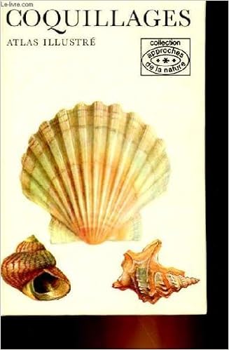 Coquillage Atlas Illustre Amazon Co Uk Jan Lellak Books