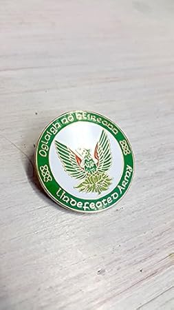 Westernfertility Com Irish Provisional Out Of The Ashes Rising Phoenix Pin Historical Memorabilia Collectibles
