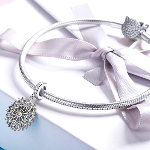 BAMOER Sterling Silver Charm Pendant Clear Cubic Zirconia Bead Charm for European Bracelet Women Girl
