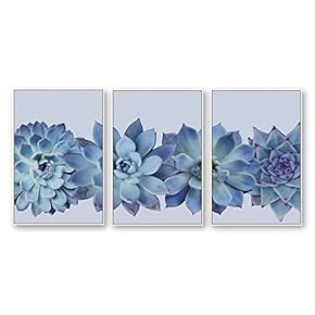 Framed Canvas Wall Art for Living Room, Bedroom Beautiful Plants Cactus Canvas Prints for Home Decoration Ready to Hanging - 16"x24"x3 Panels
