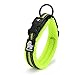 Pettom Adjustable Nylon Pet Collar Padded 1
