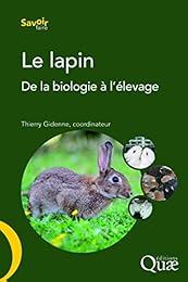 Le  lapin