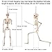 Jetec 3 Pieces Halloween Skeleton Full Body Plastic Skeleton Model Scary Man Bone 19.7 Inch with Creepy Cloth for Halloween Decorations Haunted Houses Graveyard Scene Creepy Decor Party Props