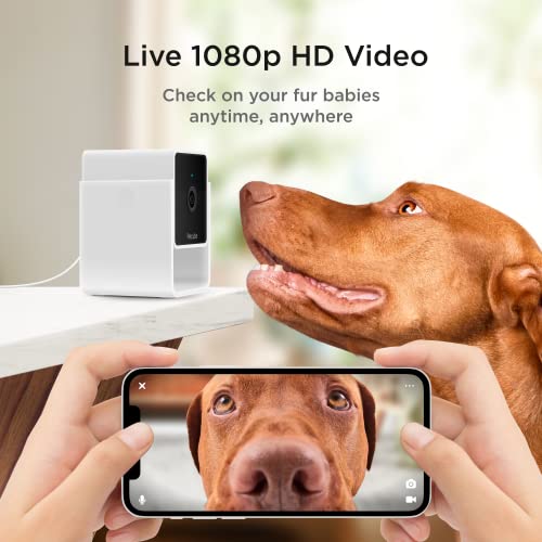 Petcube Cam Indoor WiFi Pet and Security Camera with Phone App, Pet