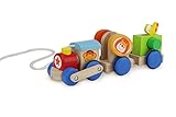 Wonderworld Safari Train Pull Toy
