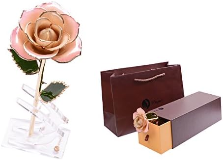 PinkWhite Gold Dipped 24K Plated Real Rose 100% Natural Flower Long Stem Gift for Lover Valentine's Day Mother's Day Wife Daughter Birthday Anniversary Gifts+Stand+Gift Box Foil Trim