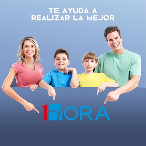 1 Hora Pilas AA, Paquete de 40 Baterias Alcalinas AA industriales LR6 1.5V, Desechables de Alto Rendimiento para Juguetes, Reloj, Despertador, Mando a Distancia portátil y Otros Dispositivos Diarios