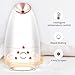 Facial Steamer - VKK Nano Ionic Facial Steamer Hot Mist Face Steamer for Facial, Home Facial Sauna Spa Humidifier for Women