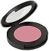 Jill Kirsh Color Mineral Blush - Hollywood's Guru of Hue for Gray & Ash Blonde Hair Color (Pink Slipper, .15 oz)