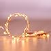LED String Lights,DecorNova 19.7ft 60 LEDs Copper Wire String Lights IP44 Waterproof with Timer and 3AA Battery Case, Warm White (Set of 1)