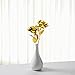 ProCIV Gold Roses, 24K Gold Foil Decoration Artificial Rose Flowers in Gift Box, Best Gift Mother's Day, Valentine's Day, Wedding Day, Birthday, Christmas, Thanksgiving, Home Decor