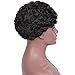 AISI HAIR Black Synthetic Wigs Short Afro Curly Wig for Black Women Hest Resistant Fiber