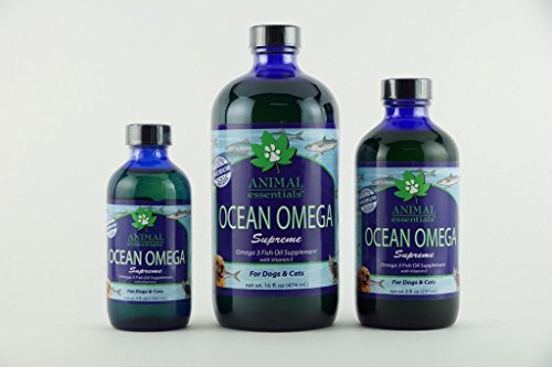 Animal Essentials Ocean Omega Supreme Fish Oil Supplement (16 ounce) Animal Essentials Ocean Omega Supreme Fish Oil Supplement (16 ounce)