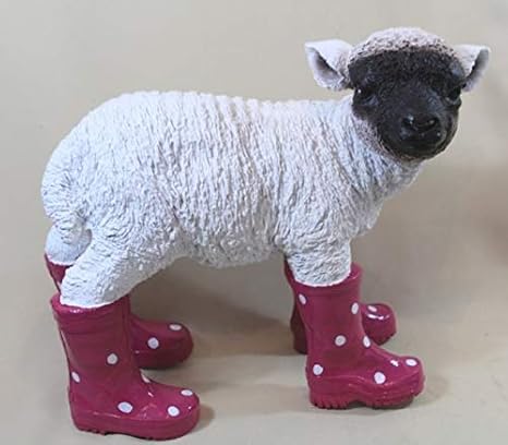 Spannende Schaf Mit Gummistiefel Bild
