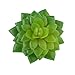 MagiDeal Artificial Succulent Real Touch Alocasia Flower Foliage Plant Decor Green
