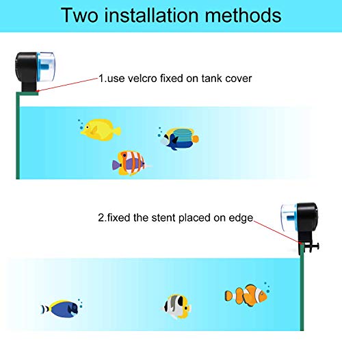 Togolo Automatic Fish Feeder Aquarium with 2 Fish Food Dispensers Tank Timer Feeder Vacation Auto Fish Feeder for Flakes Electric Automatic Turtle/Gold Fish for Weekend or Holiday