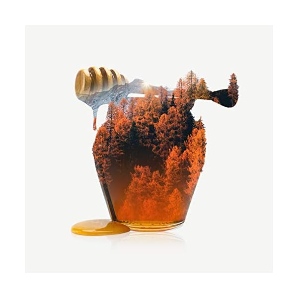 GREENFIELD HONEY LINDEN Schwarztee | Aromatisierter Tee | Schwarzer Tee mit Honiggeschmack mit Linde und Apfel | Brew… – Bild 7