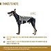 OneTigris Tactical Dog Training Vest Harness with Mesh Padding and Two Handles (Tan, XL / 54cm)