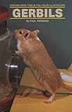 Gerbils by Paul Paradise