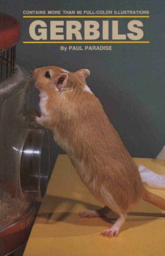 Gerbils by Paul Paradise