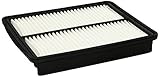 Genuine Hyundai (28113-2P100) Air Filter