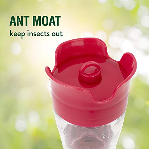 PerkyPet 203CPBN2 PinchWaist Glass Hummingbird Feeder With Perches